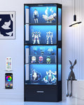 Lamtor 67" Display Cabinet by Lamtor