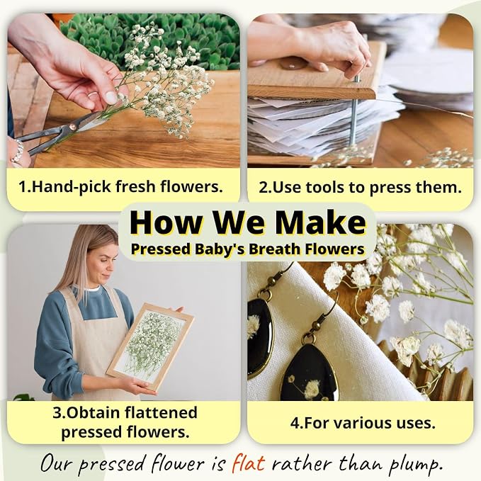90Pcs Mini Dried Pressed Baby's Breath Flowers Bulk - Image 3