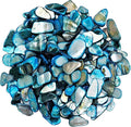 Natural Crushed Shells Chips Irregular Mother of Pearl Seashell Fragments Sea by EDSRDUS