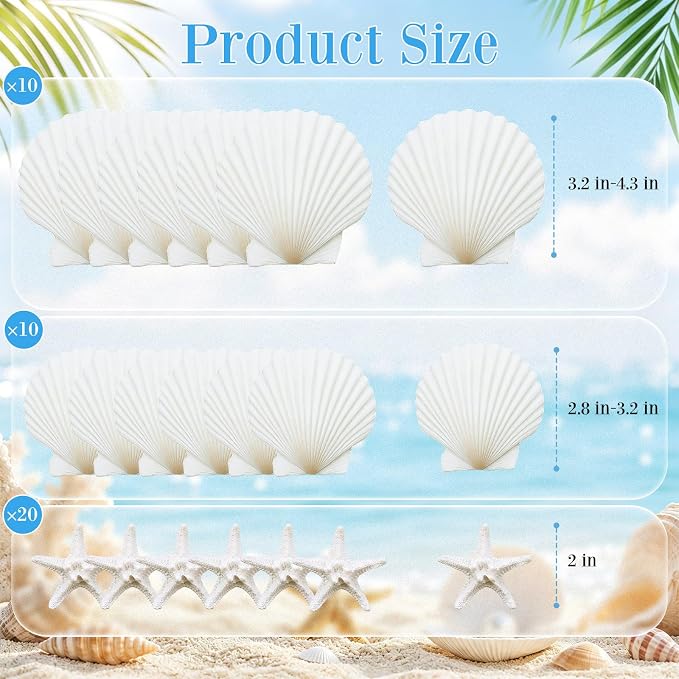 Junkin 40 Pack Natural Scallop Shells and Artificial Starfish - Image 2