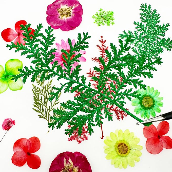 Woohome Natural Dried Pressed Flowers Leaves - Image 9