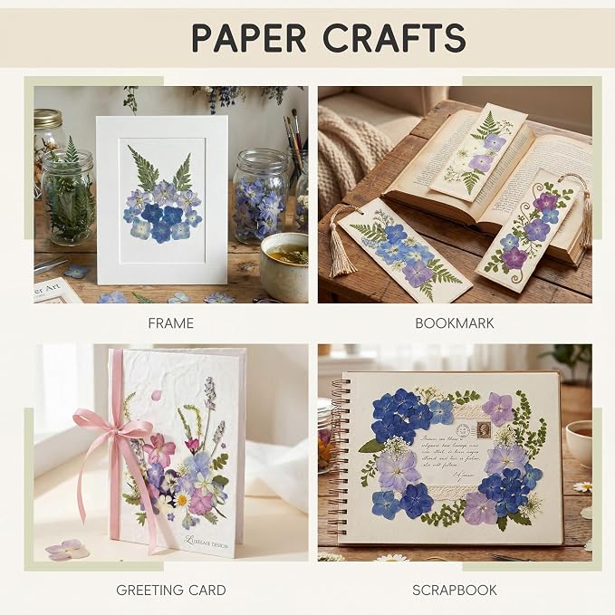 LUXEEASE 140P Hydrangea Dried Pressed Flowers | Large petals, star blooms - Image 5