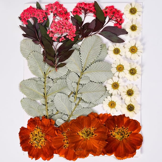 136pcs Dried Flowers for Resin, Dried Pressed Flowers for Crafts Bulk for - Image 5