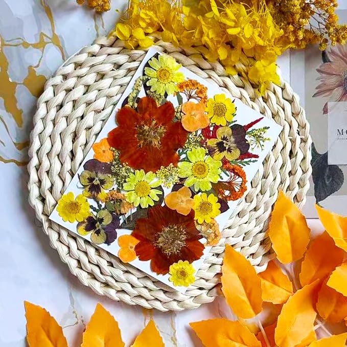 34 Pcs Yellow Dried Pressed Flowers - Image 2
