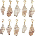SUNNYCLUE 10Pcs Seashell Charms Oval Ocean Beach Spiral Natural Cowrie Conch by SUNNYCLUE