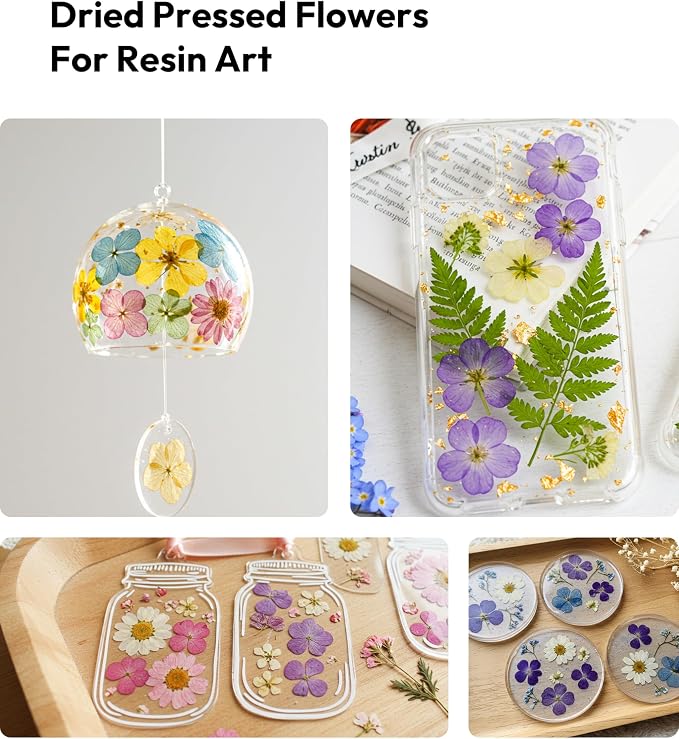 Dried Flowers, Resiners 100Pcs Pressed Flowers - Image 7