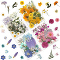 LUXEEASE 4 Color 110P Long Stem Dried Pressed Flowers | Long stems by LUXEEASE