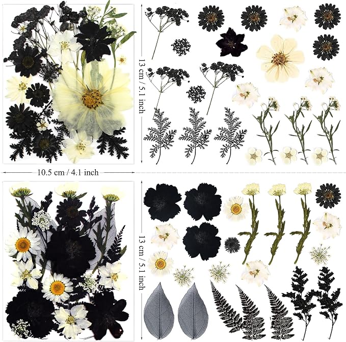 90Pcs Black Pressed Dried Flowers - Image 4