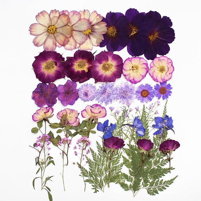 Large Purple Dried Pressed Flowers - Image 5