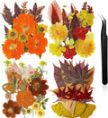 Nuanchu Fall Pressed Flowers Bulk Dried Flower by Nuanchu