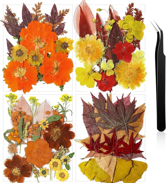 Nuanchu Fall Pressed Flowers Bulk Dried Flower by Nuanchu