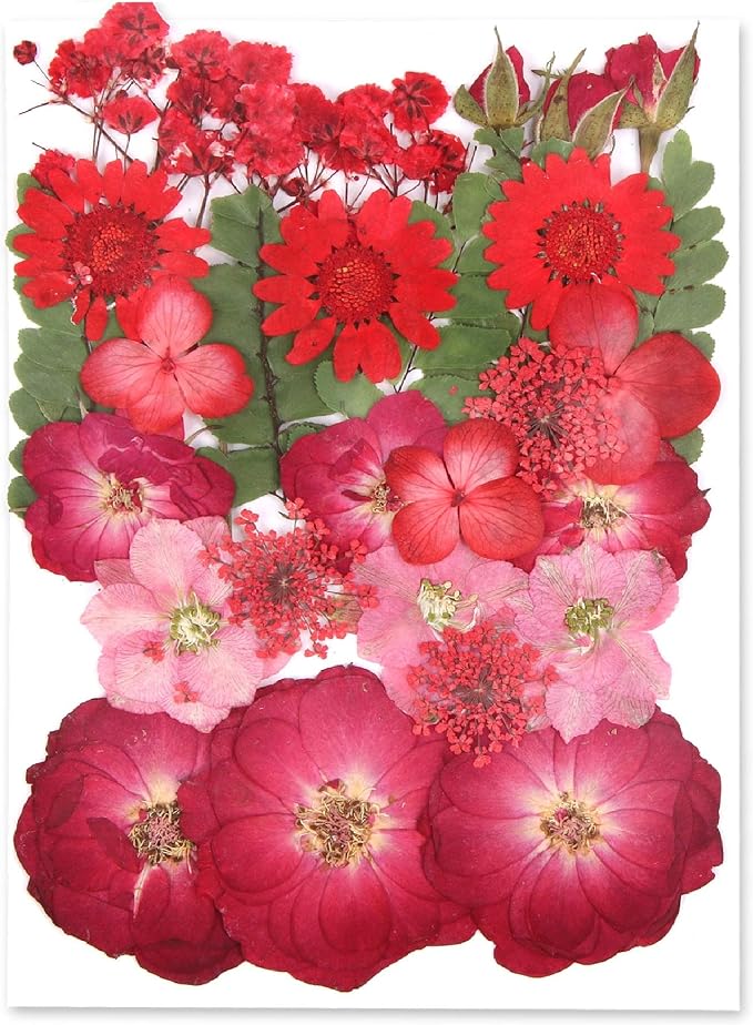 Augshy Red Dried Pressed Flowers, Pressed Red Roses Dried Flowers by Augshy