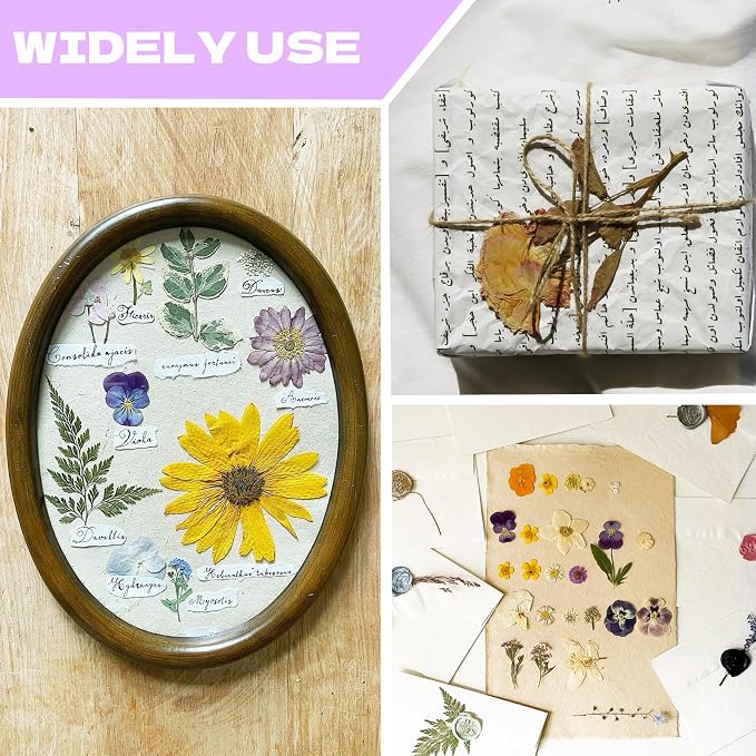 Dried Flowers for Resin | Vacuum Packed DIY Pressed Flowers for Epoxy, Nail - Image 6