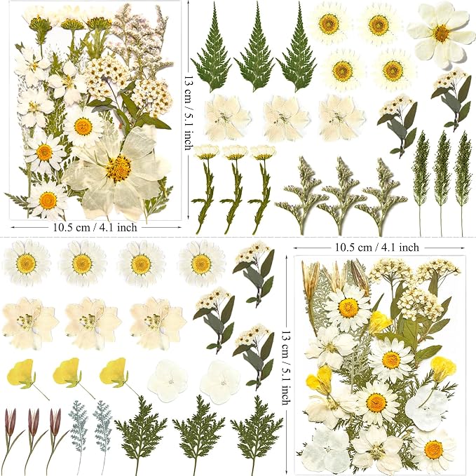 MIKIYA 90Pcs White Dried Pressed Flowers - Image 5