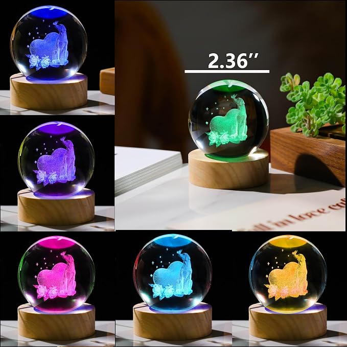 3D Labrador Gifts for Women - Image 3