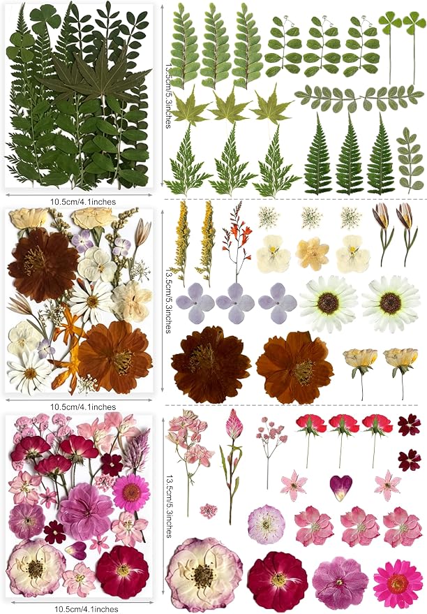 120Pcs Multi-Style Dried Pressed Flowers & Leaves - Image 3