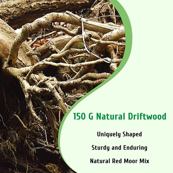 kathson Natural Driftwood for Aquarium - Image 2