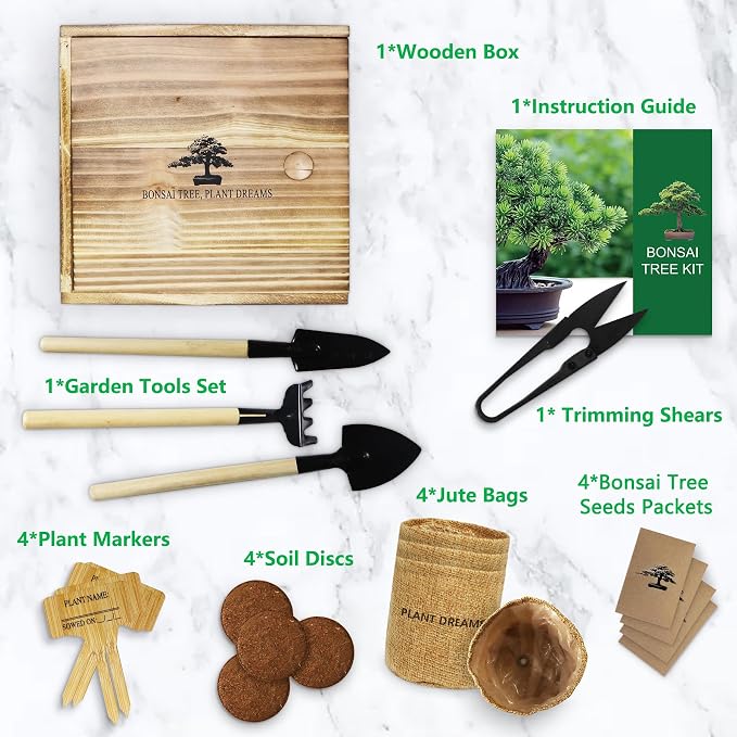 Bonsai Tree Starter Kit for Beginners - Image 7