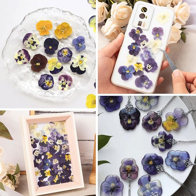 60Pcs Dried Pressed Pansies Flowers - Image 5