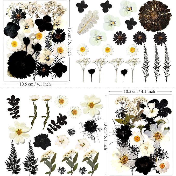 MIKIYA 90Pcs Black Pressed Dried Flowers - Image 6