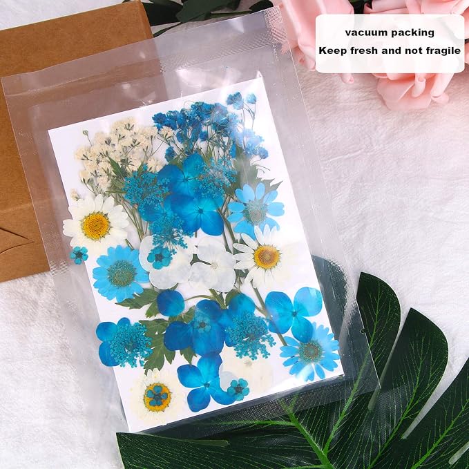 Augshy Blue Dried Pressed Flowers - Image 4