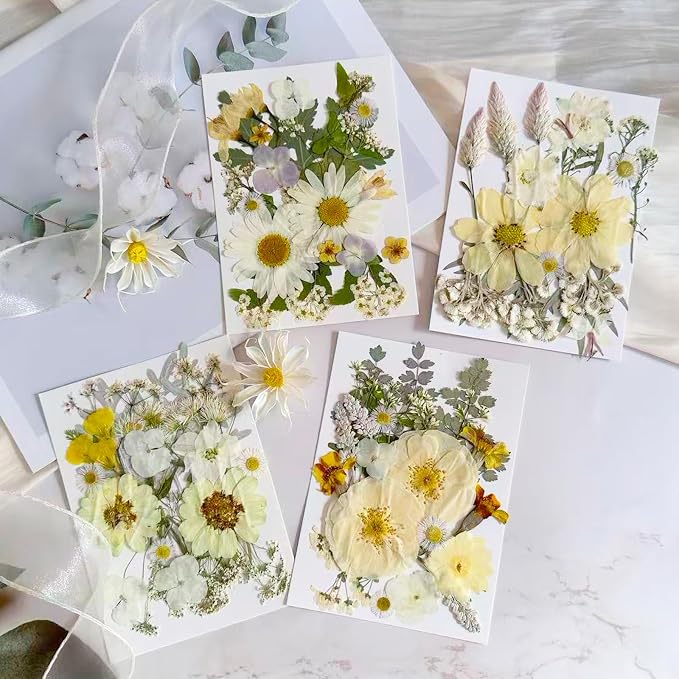 130Pcs White Pressed Dried Flowers and Butterfly - Image 3