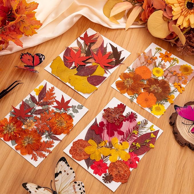 78 Pcs Fall Dried Pressed Flowers - Image 3