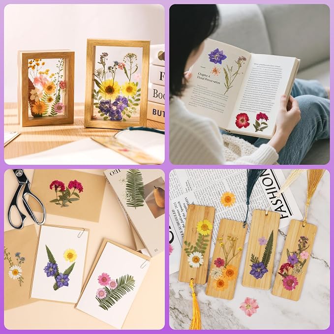 NESCCI 428 Pcs Dried Pressed Flowers - Image 7