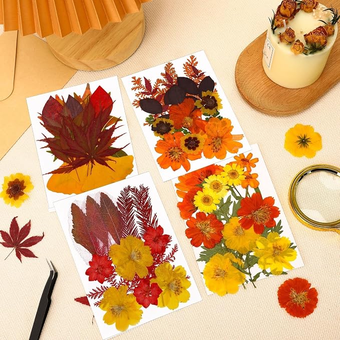 Augshy Fall Dried Pressed Flowers Orange Pressed Fall Leaves - Image 6