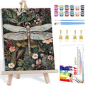 Framed Paint by Numbers Kit for Adults by MANDUN