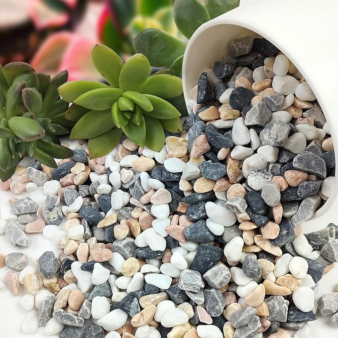 FANTIAN 5 lbs Succulent and Cactus Pebbles - Image 9