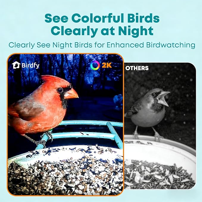 NETVUE by Birdfy Smart Bird Feeder - Image 4