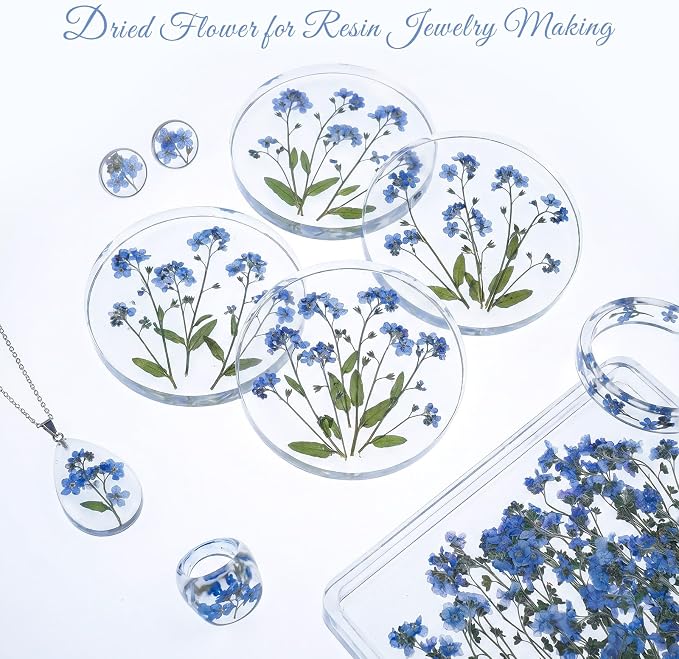 48 Pcs Natural Dried Pressed Forget-me-not Flowers - Image 6