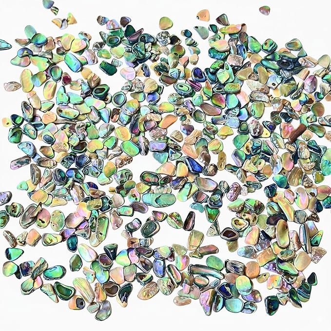 Abalone Shell Slices, Polished Abalone Slices by Unknown