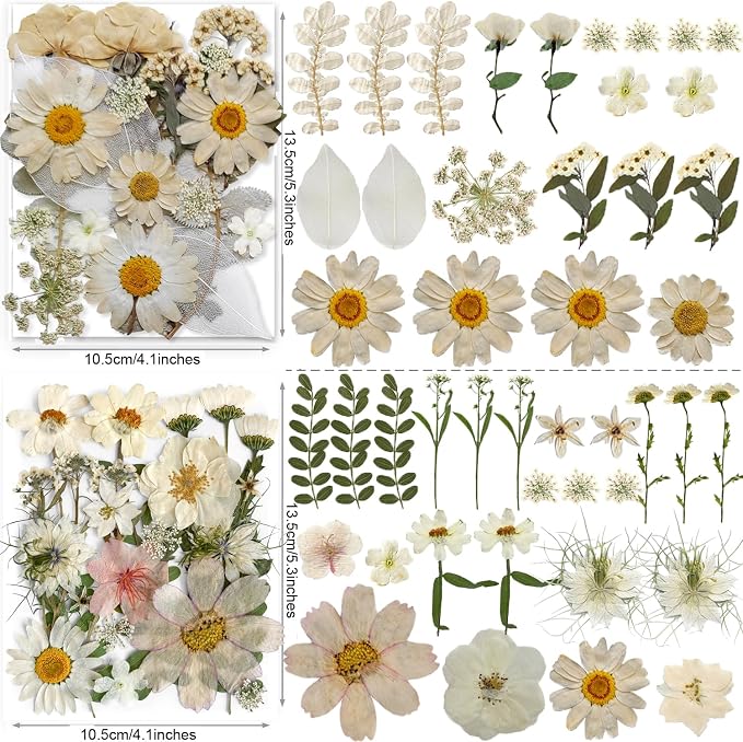 140PCS White Dried Pressed Flowers - Image 4