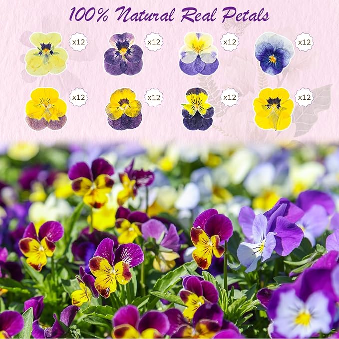 96 Pcs Natural Dried Pressed Edible Flowers - Image 2
