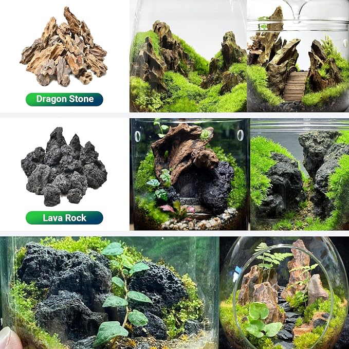 Natural Rocks Dragon Stone 1-2.5 Inches Decorative Rocks - Image 4
