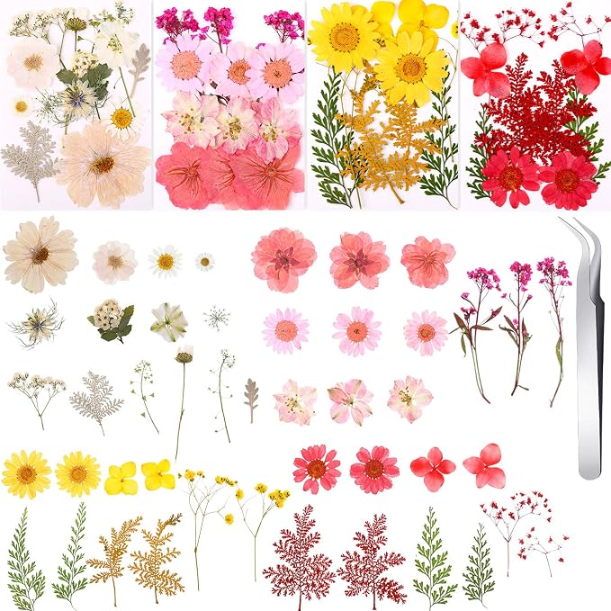 Nuanchu 109 Pieces Dried Pressed Flowers - Image 3