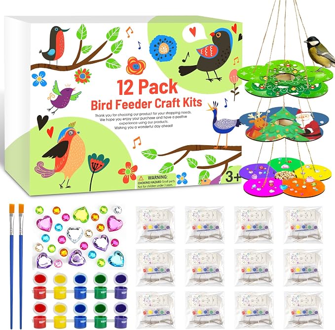 12 Pack Wooden Bird Feeder Painting Kits by AluAbi