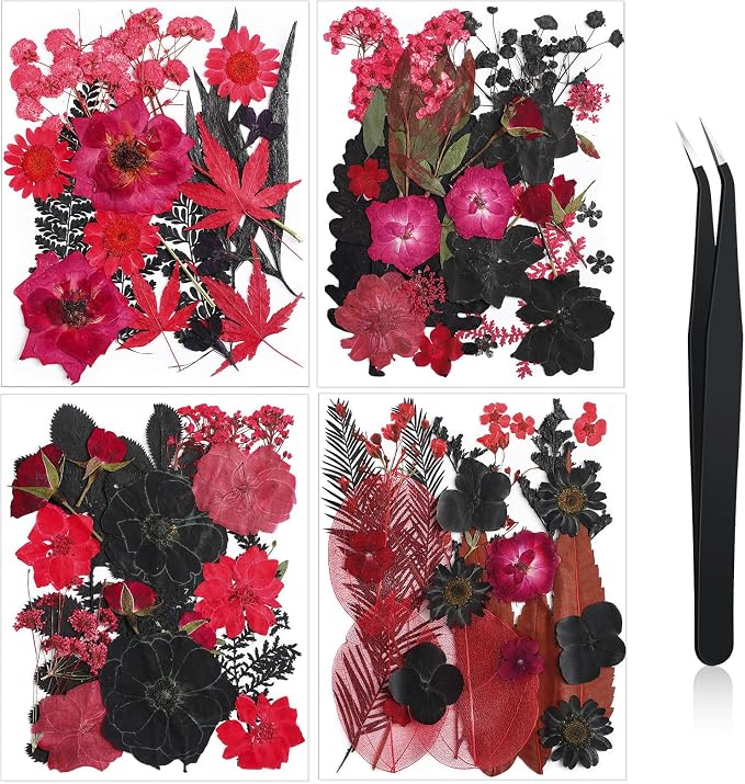 Nuanchu Black Red Dried Pressed Flowers by Nuanchu
