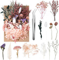 Real Dried Flowers, Natural Dry Flowers Mixed Natural Pressed Flowers Flores by auroray