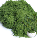 8.8oz Green Fake Moss Faux Plant Grass Artificial Flowers Moss by Forlaoers