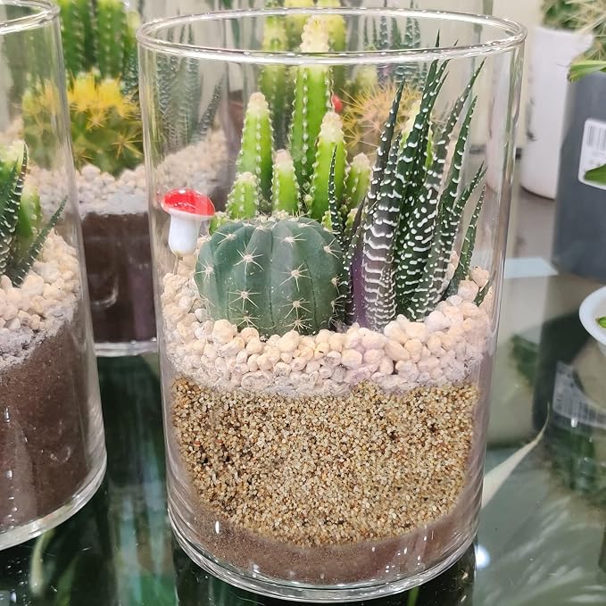 Natural Sand Coarse Silica Sand Vase Filler Unity Sand - Image 8
