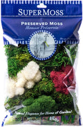SuperMoss Moss Mix – Premium Decorative Moss by SuperMoss