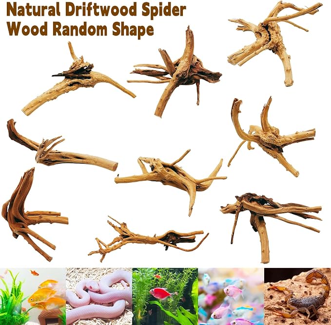 Hamiledyi 4PCS Driftwood for Aquarium 8-10in Natural Spider Wood Reptile - Image 6