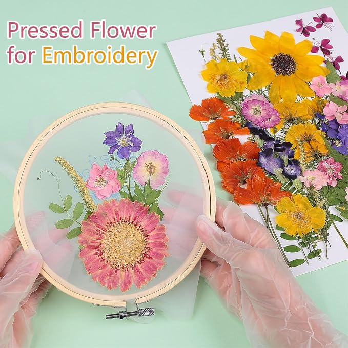 12“ Large Bulk Summer Dried Pressed Flowers - Image 5