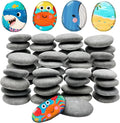 ReePlan 50PCS Rocks for Painting, 2-3 Inches Natural Smooth River Rocks for by Unknown