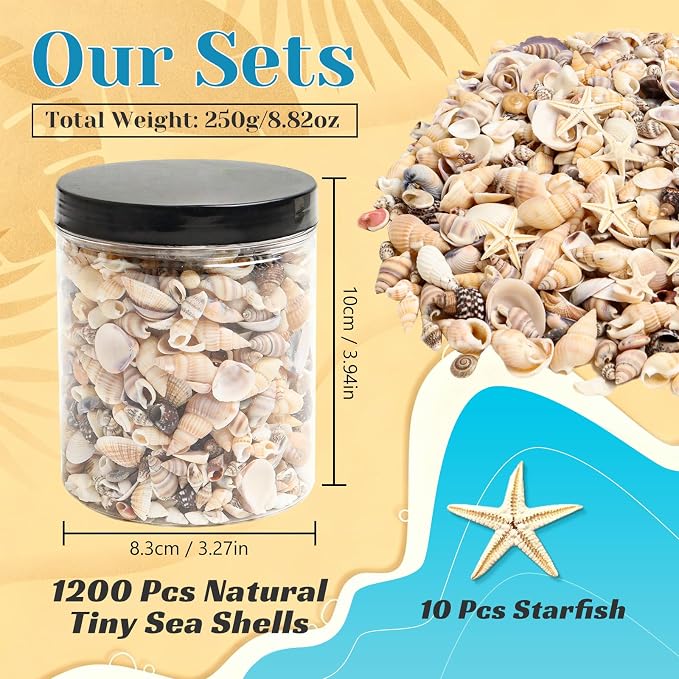 1200 Pieces Tiny Sea Shells Small Natural Starfish Mixed Ocean Beach Spiral - Image 2