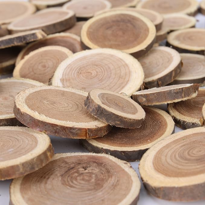 Natural Wood Slices for Crafts, 1.2"-2.5" Mini Assorted Unfinished Wood Tree - Image 2