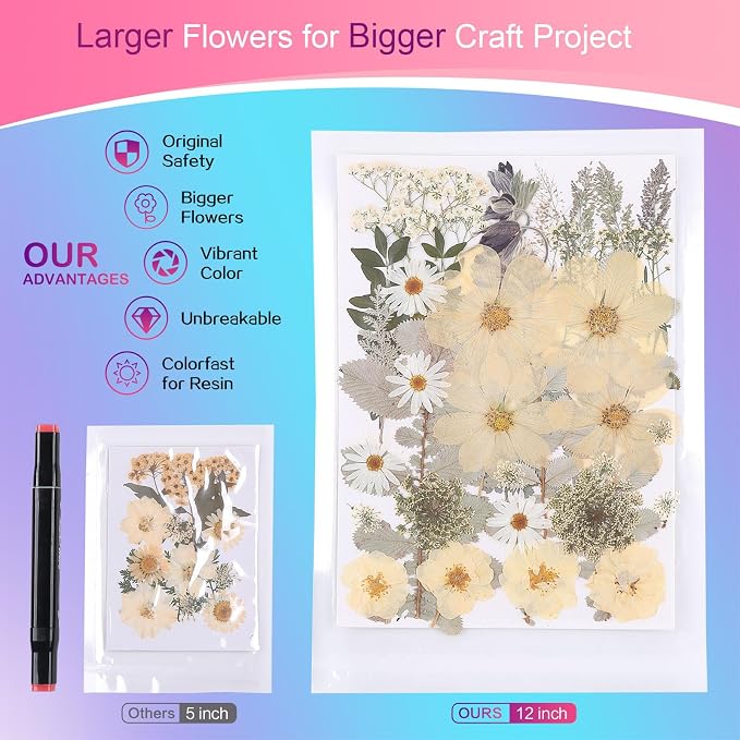 12“ Large Dried Pressed Flowers - Image 2